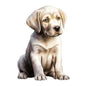 Dog289