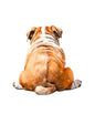Dog290