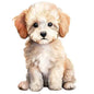 Dog291