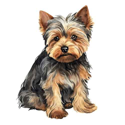 Dog297