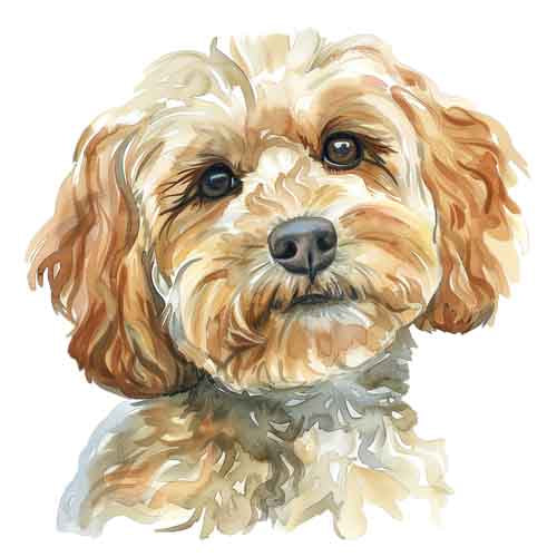 Dog3