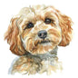 Dog3