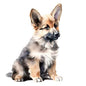 Dog301