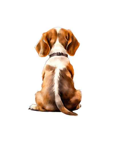 Dog302