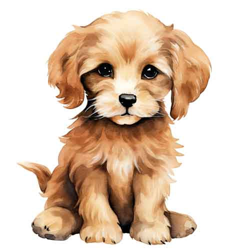 Dog305
