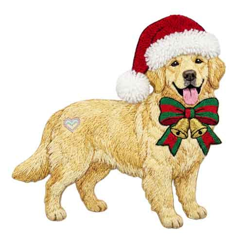 Dog313