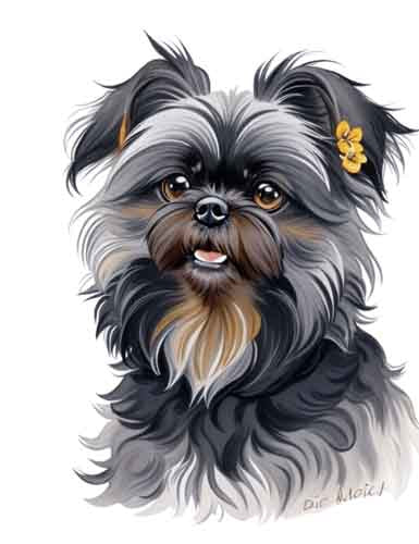Dog317