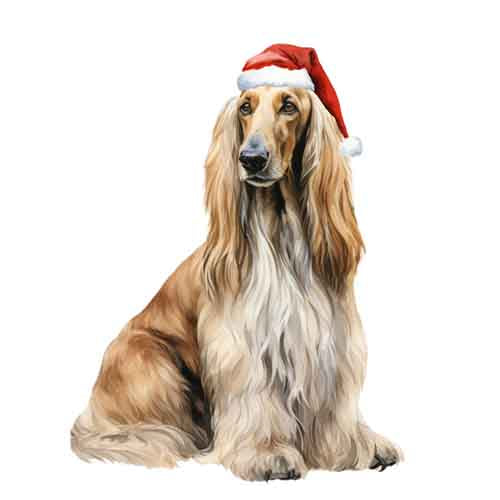 Dog318
