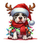 Dog32