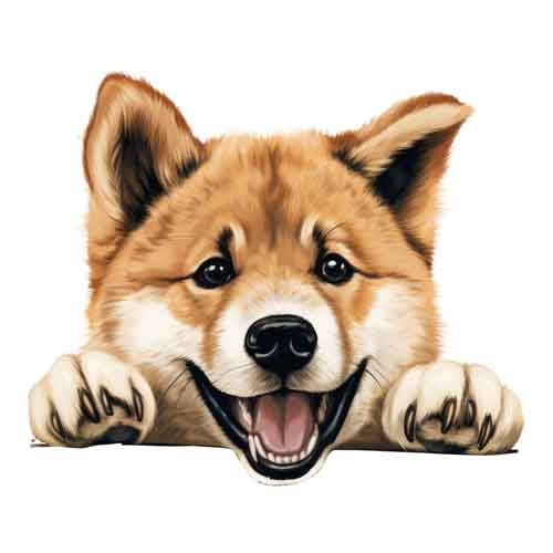 Dog324