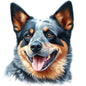 Dog353