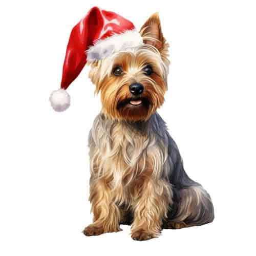 Dog359