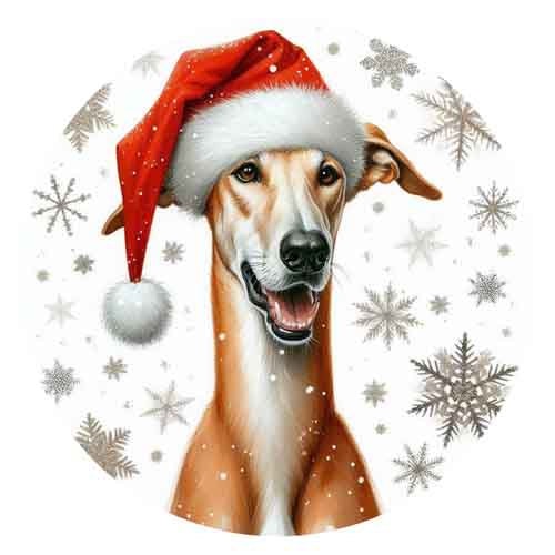 Dog363
