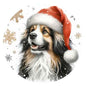 Dog365