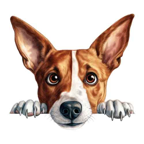Dog366