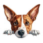 Dog366