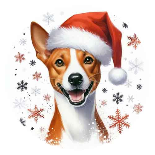 Dog367
