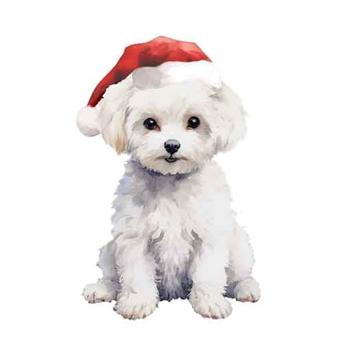 Dog393