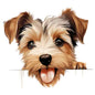 Dog398