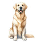 Dog4