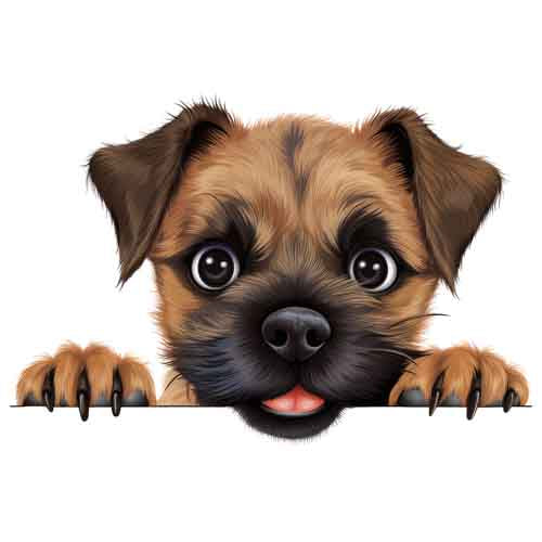 Dog414