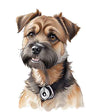 Dog416