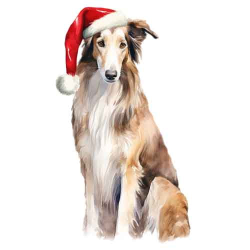 Dog418