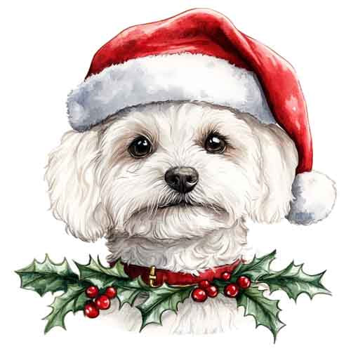 Dog42
