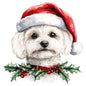 Dog42