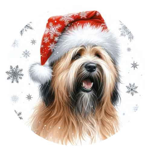 Dog432