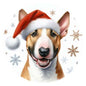 Dog440