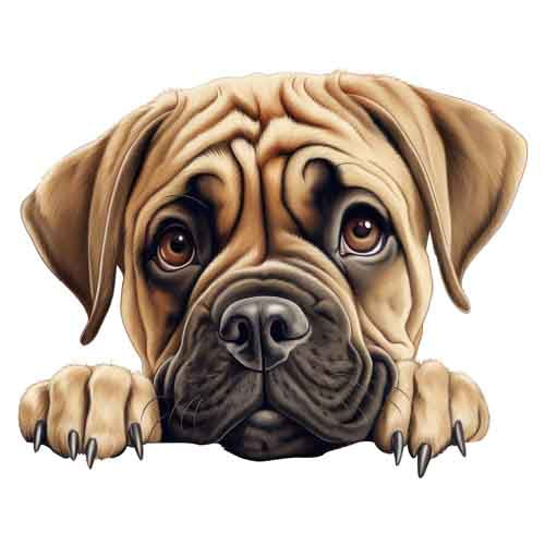 Dog444