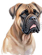 Dog446