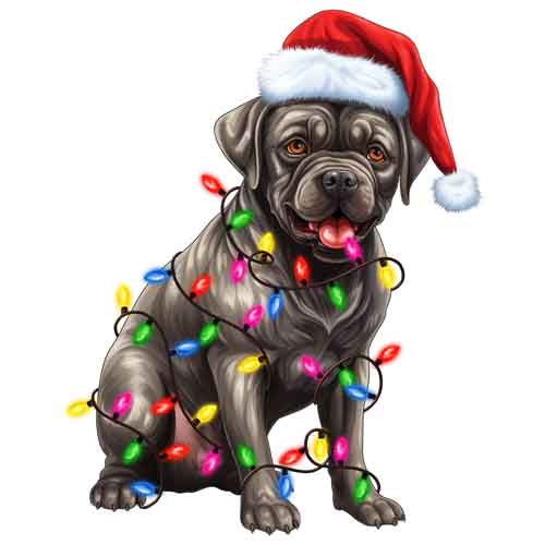 Dog453