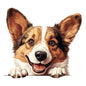 Dog454
