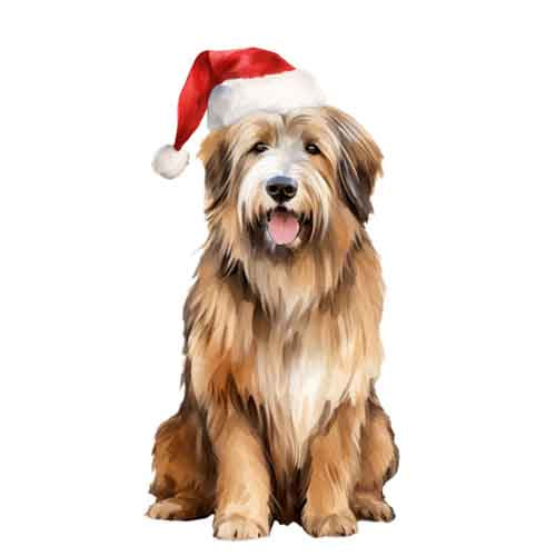 Dog459