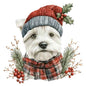 Dog48