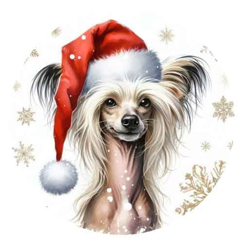 Dog487