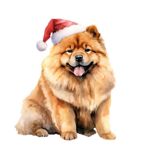Dog491