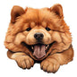 Dog493