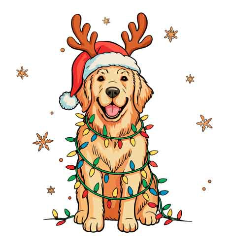 Dog499