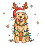 Dog499