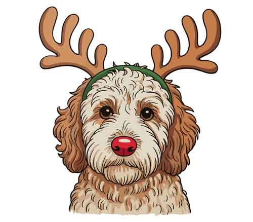 Dog500