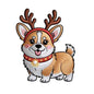 Dog502