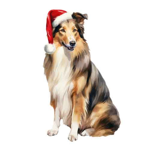 Dog513