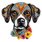 Dog568