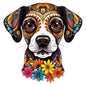 Dog569