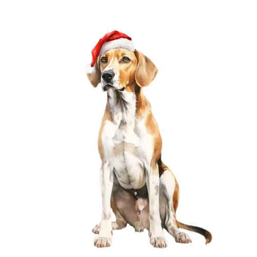 Dog592