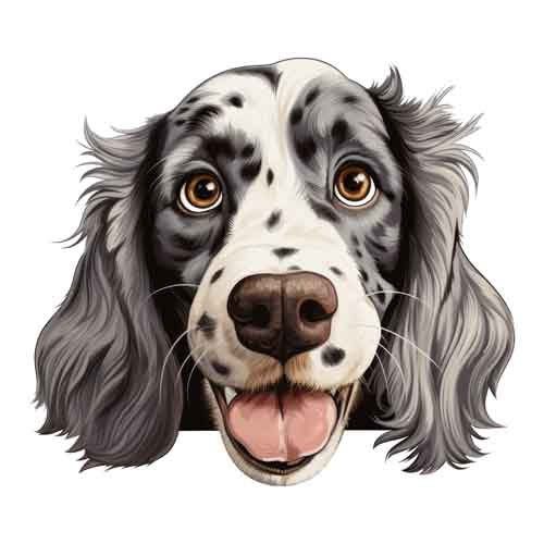 Dog595