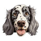 Dog595